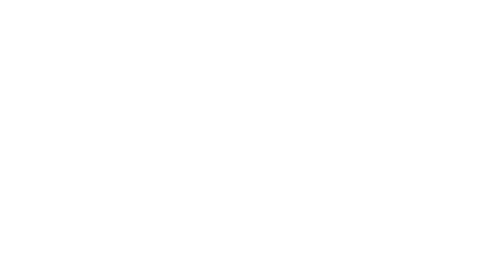 Everton FC Logo
