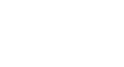 Welsh Fire Logo